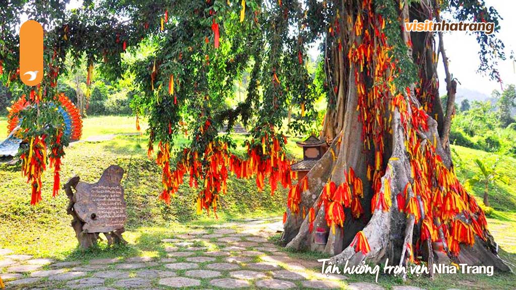 Độc đáo với cây mMộc Thần của người Raglai nằm trong khuôn viên du lịch Yang Bay