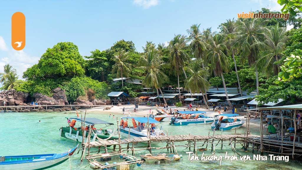 Đi tour đảo Yến tại Nha Trang bằng cano phù hợp với những người du lịch cùng gia đình hoặc nhóm bạn