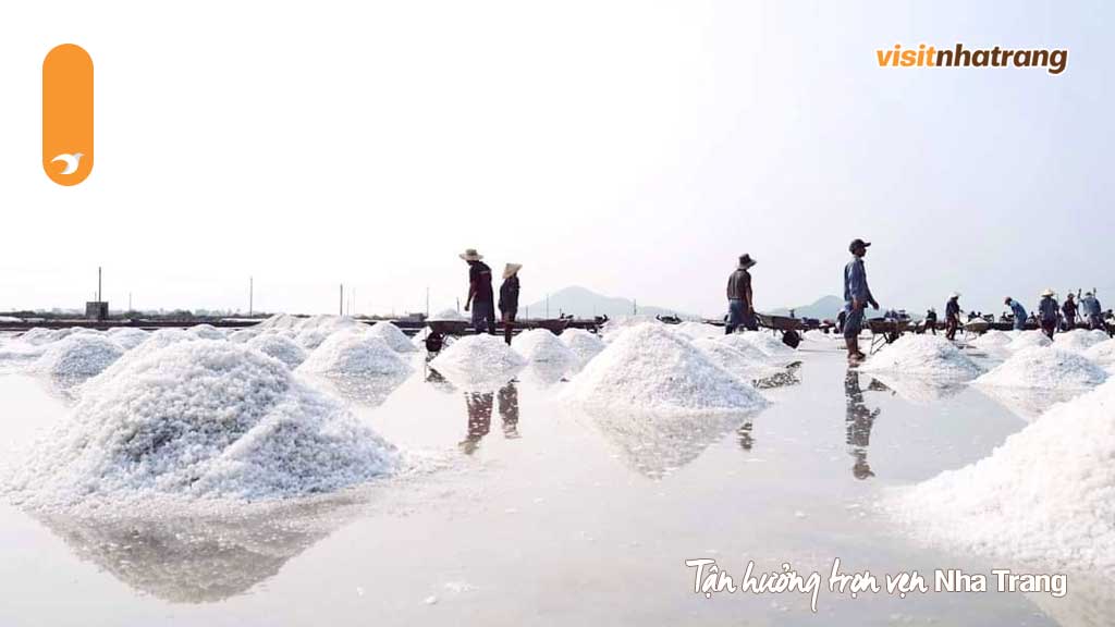 Tận hưởng vẻ đẹp bình dị với cảnh đẹp đồng muối Hòn Khói tại Ninh Hòa Nha Trang