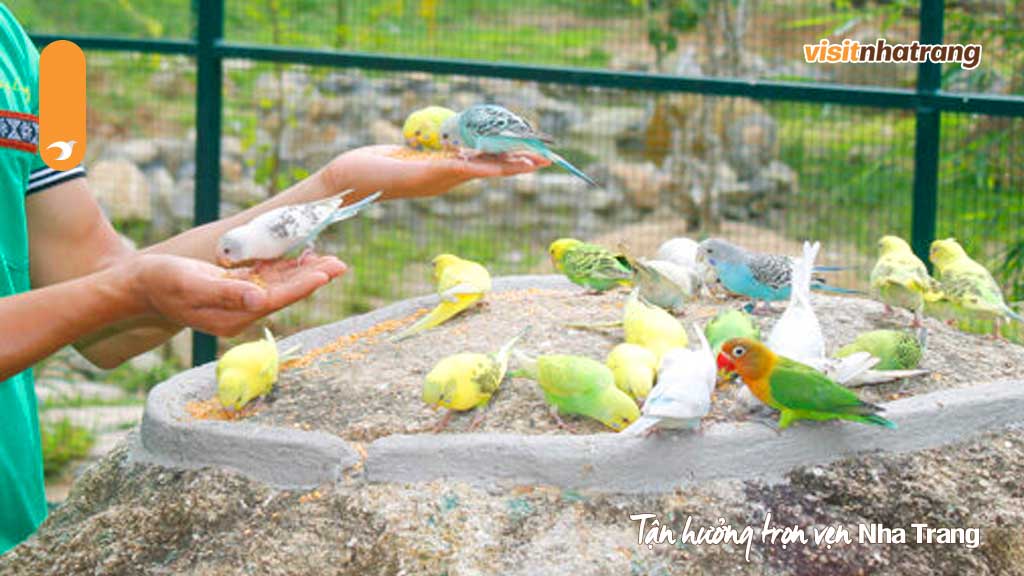 Đến đây du khách có thể tận tay cho chim ăn và check-in cùng với những chú chim xinh đẹp