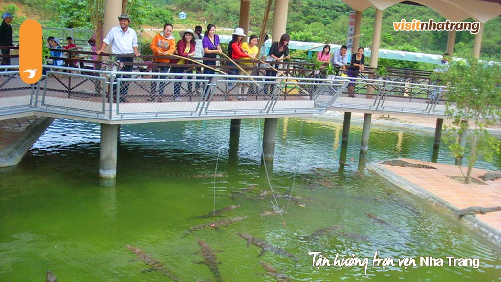 Khi đi tour du lịch tại thác Yang Bay du khách sẽ được trải nghiệm dịch vụ câu cá sấu