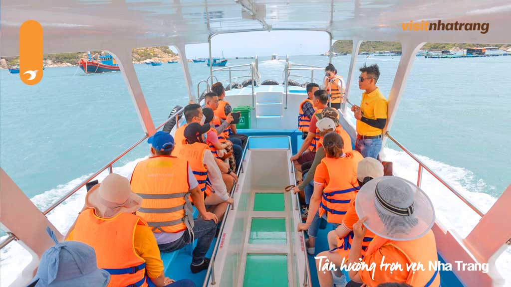 Ngắm san hô bằng tàu đáy kính tại đảo Hòn Mun Nha Trang để khám phá vẻ đẹp của thế giới dưới biển