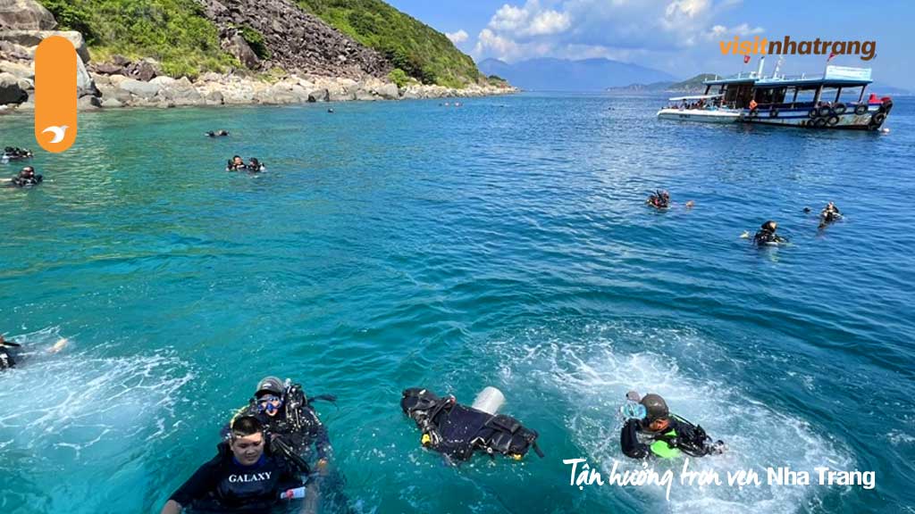 Khu bảo tồn sinh vật biển duy nhất tại Việt Nam với hệ thống sinh thái biển phong phú