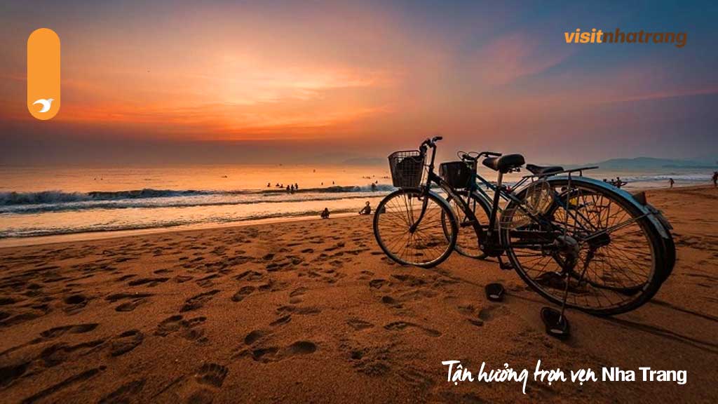 Thuê xe đạp dạo quanh biển Nha Trang để tận hưởng không gian mát mẻ