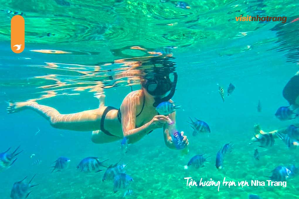 Trải nghiệm thú vị và đáng nhớ cho du khách yêu thích khám phá thiên nhiên dưới nước