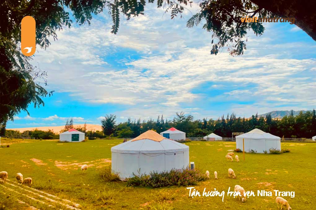 Bạn sẽ được ở trong những chiếc lều tròn, theo phong cách truyền thống của người Mông Cổ