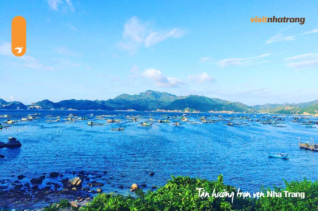 Đảo Bình Ba nổi tiếng với tôm hùm, loài hải sản quý giá của đảo