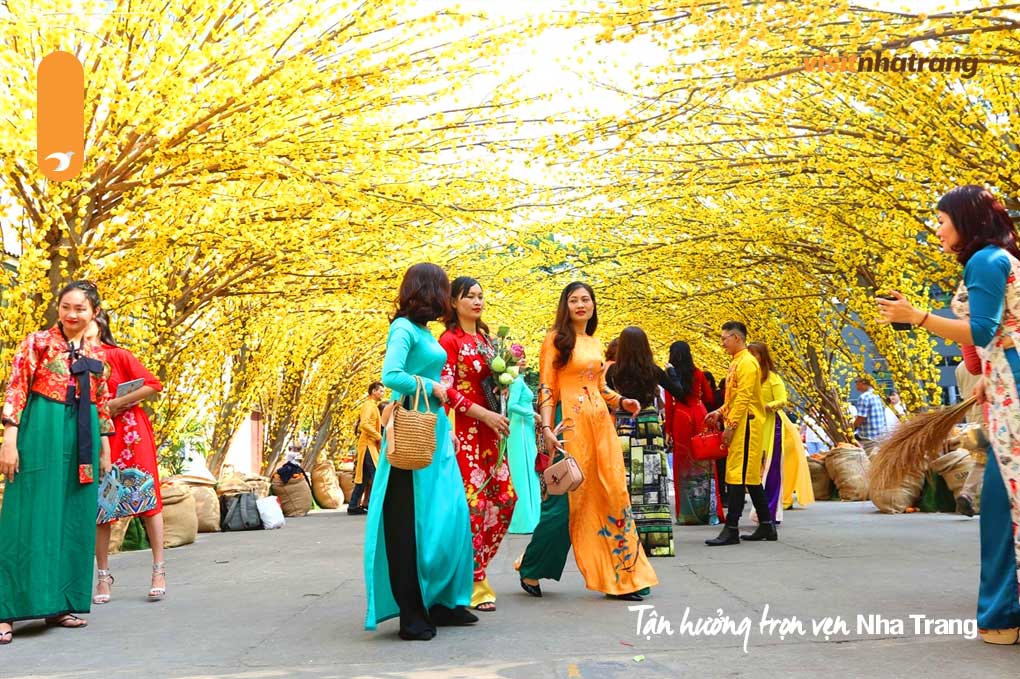 Khám phá sắc Xuân rực rỡ trong lễ hội Tết Âm Lịch tại Nha Trang