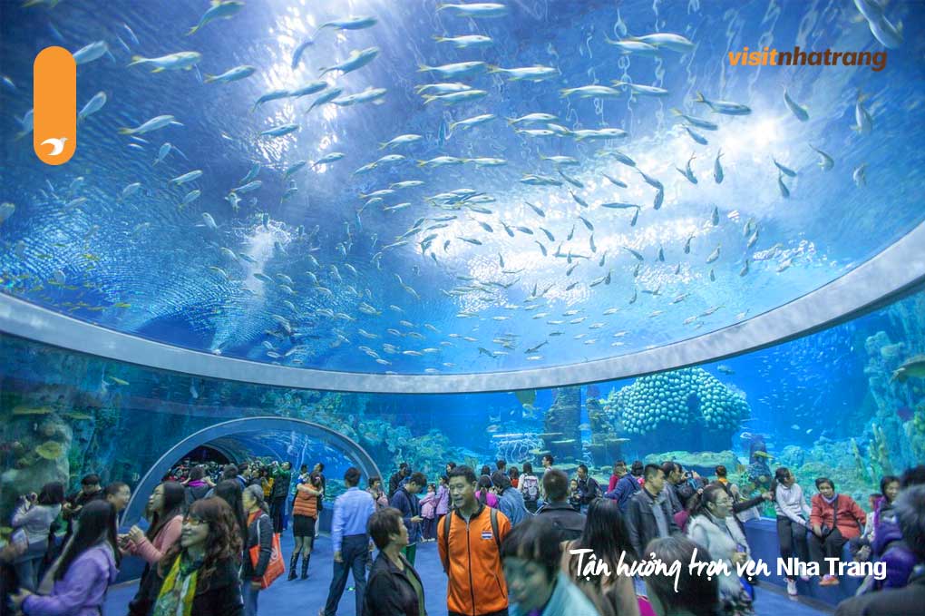 Viện Hải dương học là một trong những địa điểm tham quan nổi tiếng nhất ở Nha Trang, Khánh Hòa