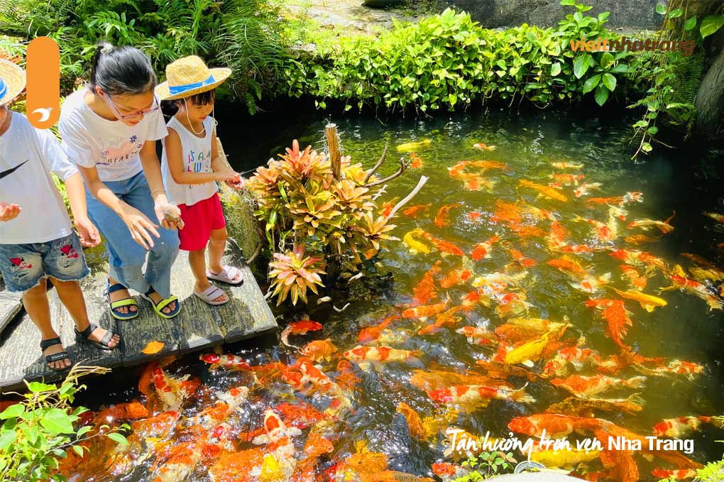 Du khách đến đảo Hoa Lan vào dịp Tết Âm lịch có thể tham gia vào nhiều hoạt động vui chơi giải trí hấp dẫn