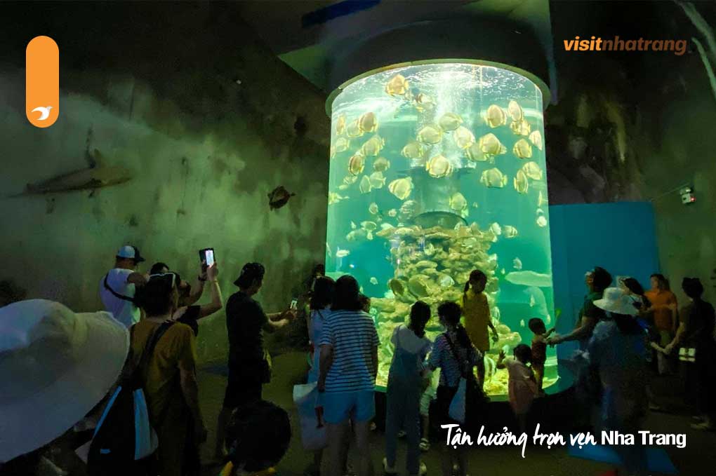 Viện Hải dương học Nha Trang là điểm đến lý tưởng cho du khách trong dịp lễ Giỗ tổ Hùng Vương năm nay
