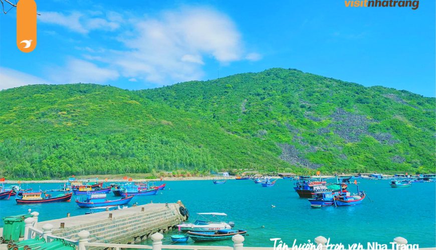 Hãy cùng Visit Nha Trang khám phá vẻ đẹp say đắm lòng người của hòn đảo Bích Đầm này!