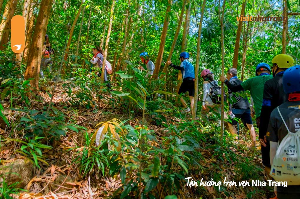 Thời điểm lý tưởng để khám phá Kong Forest Nha Trang
