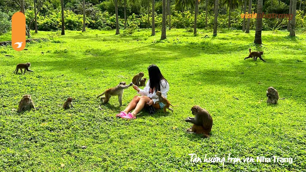 Đảo Khỉ là một điểm đến lý tưởng cho những du khách muốn tìm kiếm một không gian vui chơi giải trí lành mạnh