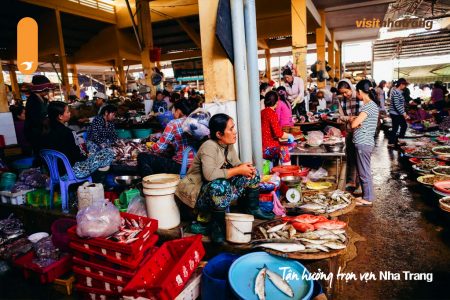 5 khu chợ hải sản Nha Trang tươi ngon, giá rẻ, chất lượng