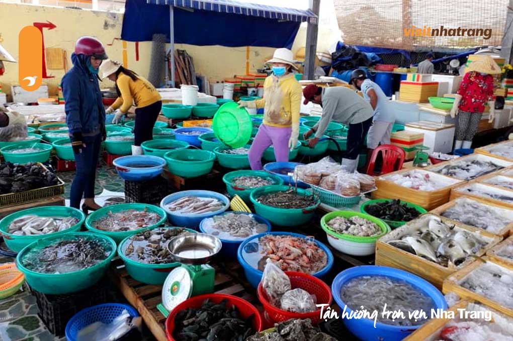Cảng cá Vĩnh Trường - Điểm đến lý tưởng cho tín đồ hải sản tại Nha Trang