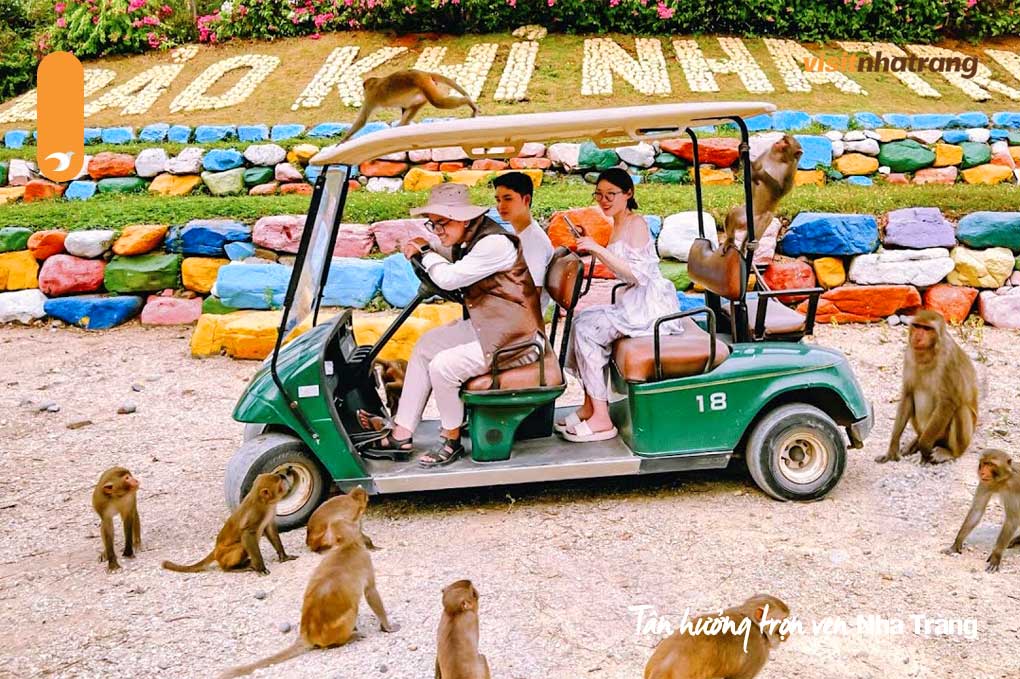 Được xem là vương quốc của loài khỉ, thu hút đông đảo du khách gần xa đến tham quan, vui chơi