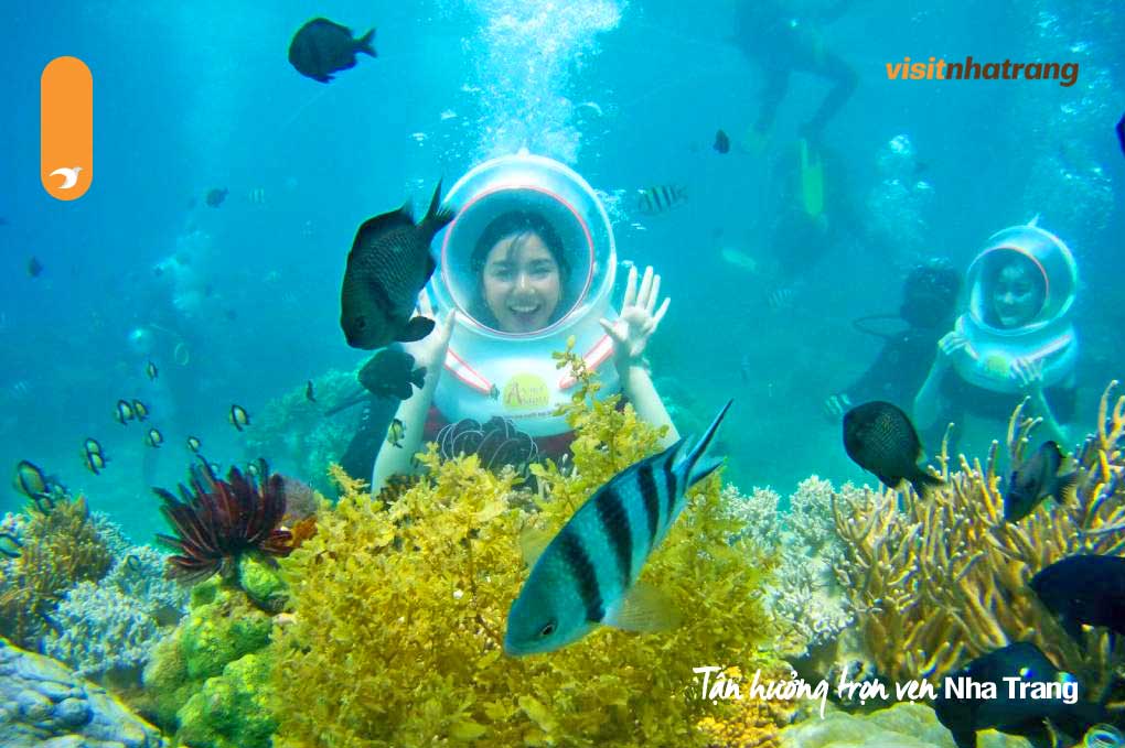 Lặn biển ngắm san hô là một trong những hoạt động thu hút nhất tại khu du lịch Sealife Bãi Dài