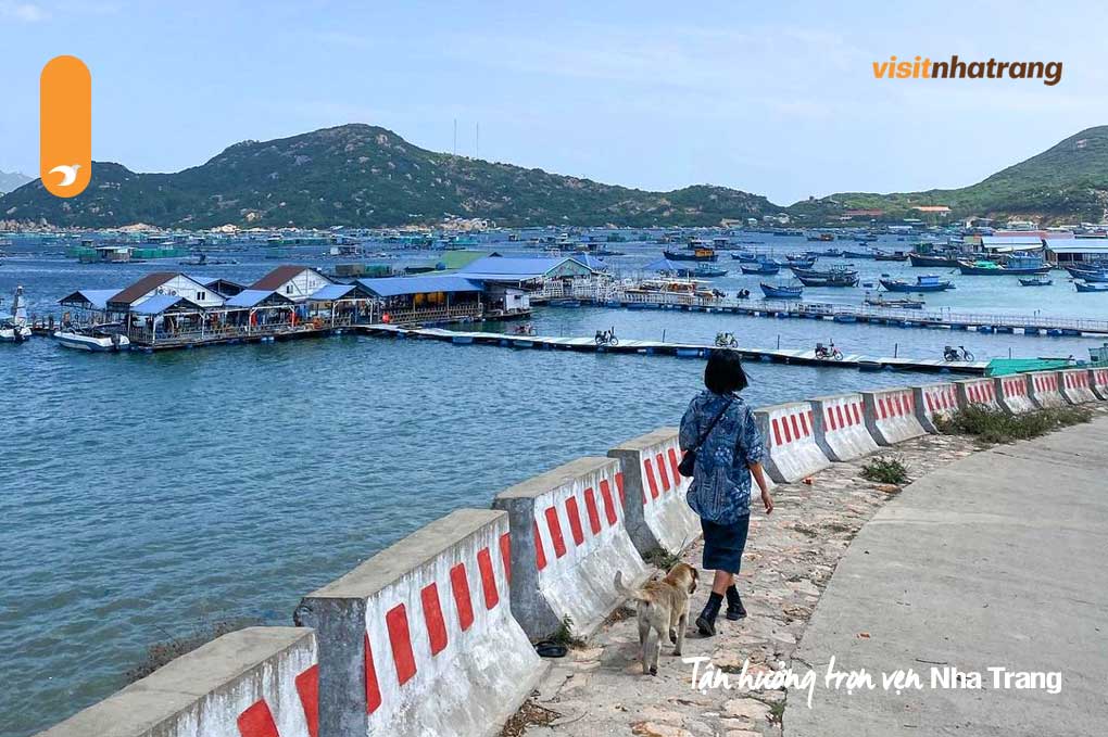 Có hai loại tàu di chuyển từ cảng Ba Ngòi đến đảo Bình Ba - Tàu cao tốc và tàu gỗ