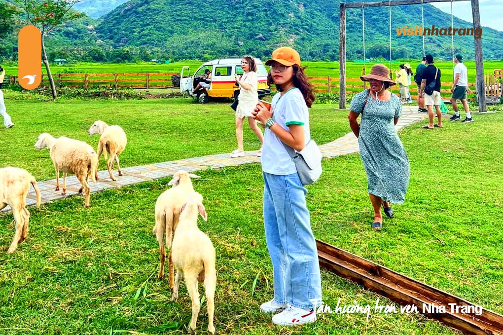 Nên mang theo mũ, nón, kem chống nắng và nước uống vì thời tiết khá nóng