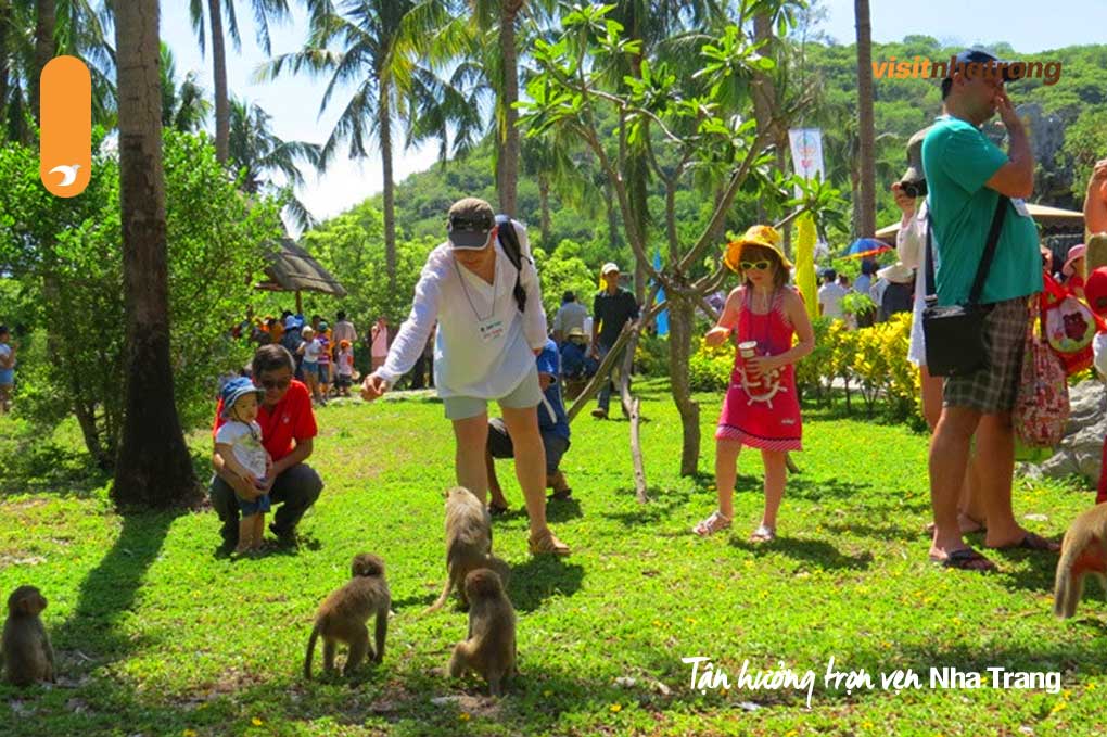 Mùa Thu Nha Trang mang đến cho du khách bức tranh thiên nhiên thơ mộng, lãng mạn