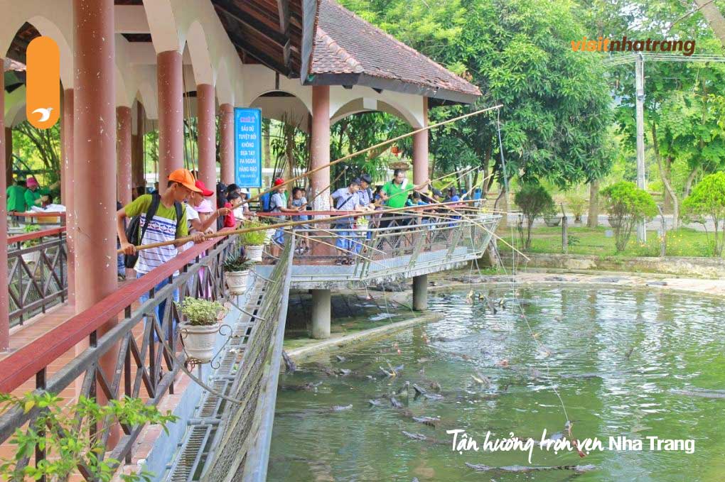 Thú vui trải nghiệm câu cá sấu ở công viên du lịch Yang Bay Nha Trang