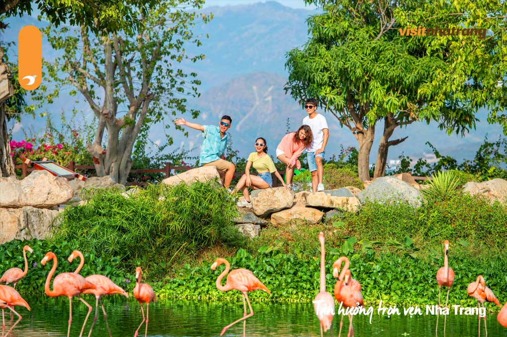 King's Garden tại VinWonders Nha Trang là một điểm đến lý tưởng cho những ai yêu thích động vật