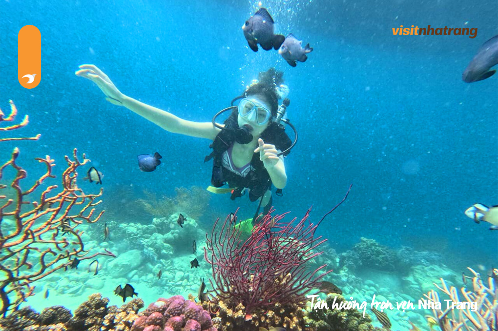 Trải nghiệm lặn bình dưỡng khí (Scuba Diving) tại Nha Trang