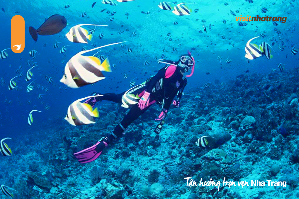 Trải nghiệm lặn ống thở (Snorkeling) tại Nha Trang