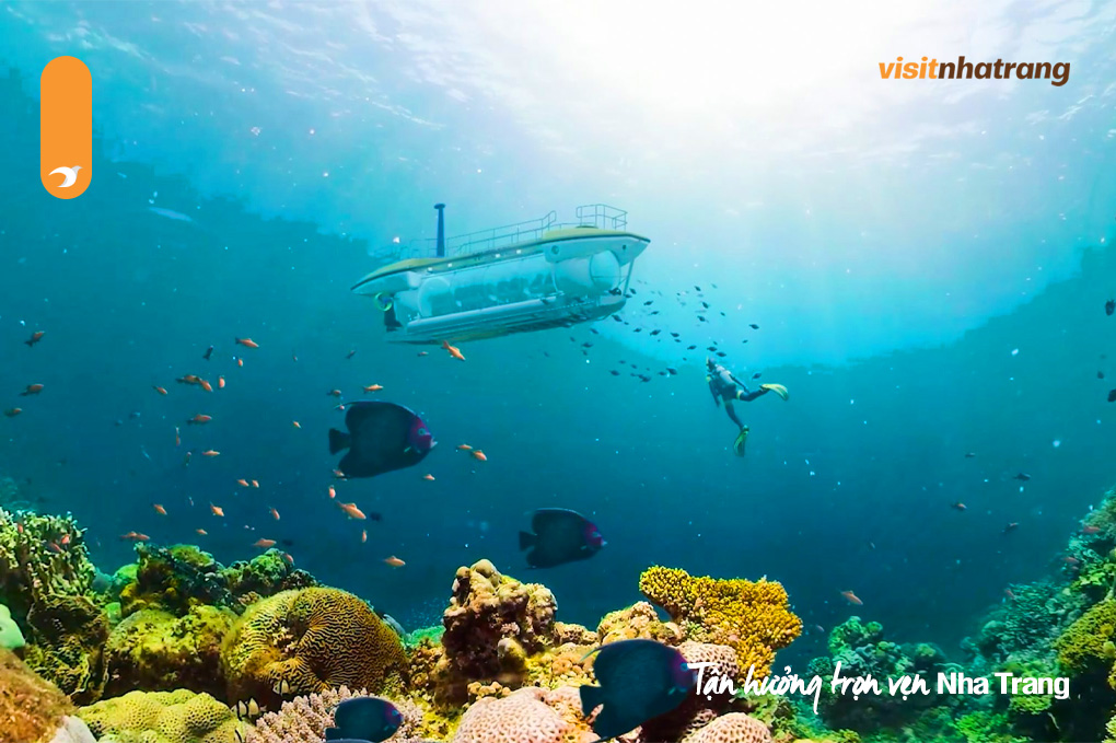 Điểm hấp dẫn của Vinpearl Submarine Nha Trang